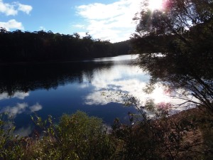 Big Brook Dam Reflections